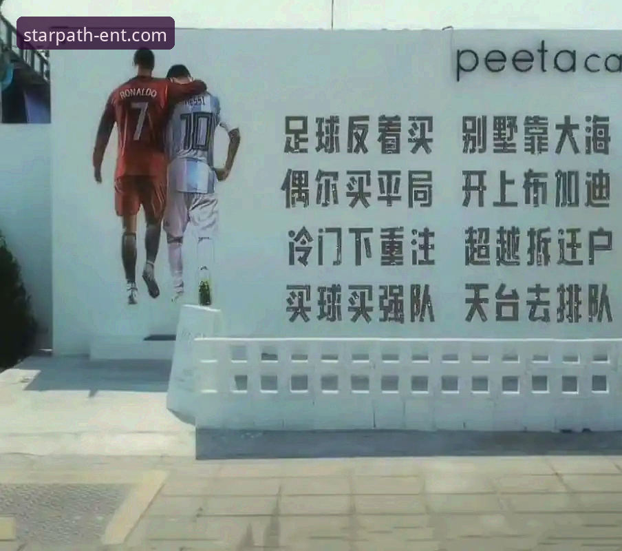 星空娱乐平台支持必备 阿根廷锋线新星重伤憾别世界杯,星空入口平台深度解析战术影响